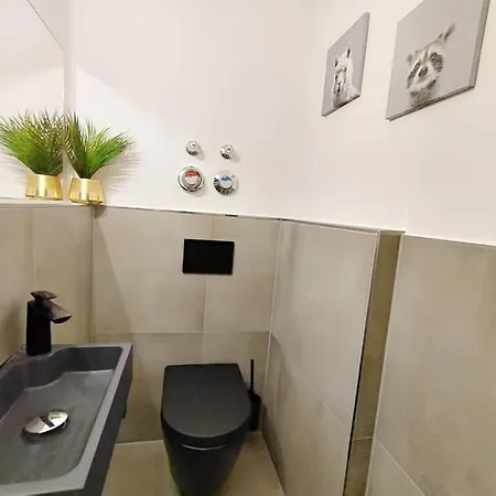 Design-apartment Fuer Bis Zu 4 Im 1 Og, Modern, Dachterrasse, Grill, Ruhige Lage, Plus, Wii, Lan Und Wlan נירנברג