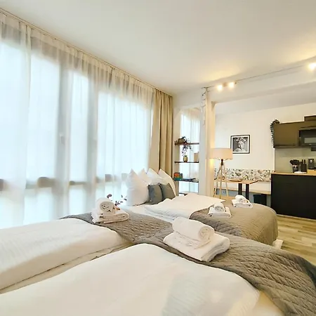 Design-apartment Fuer Bis Zu 4 Im 1 Og, Modern, Dachterrasse, Grill, Ruhige Lage, Plus, Wii, Lan Und Wlan Daire
