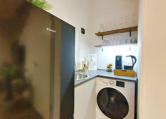 Design-apartment Für Bis Zu 4 Im 1 Og, Modern, Dachterrasse, Grill, Ruhige Lage, Plus, Wii, Lan Und Wlan Apartment